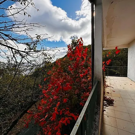 Bed & Breakfast Il Vecchio Abete