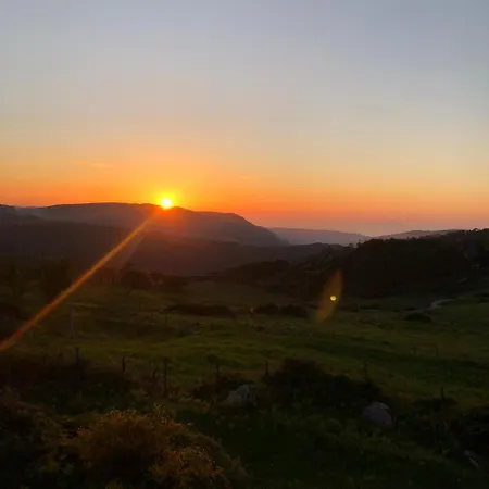 Il Vecchio Abete Raccuia