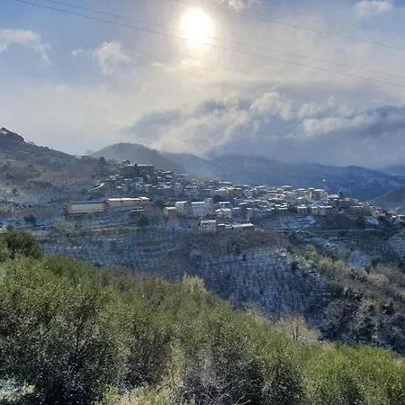 Il Vecchio Abete * Raccuia