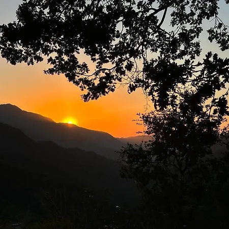 Frühstückspension Il Vecchio Abete Raccuia