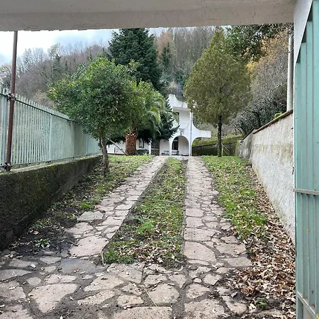 Il Vecchio Abete Frühstückspension Raccuia